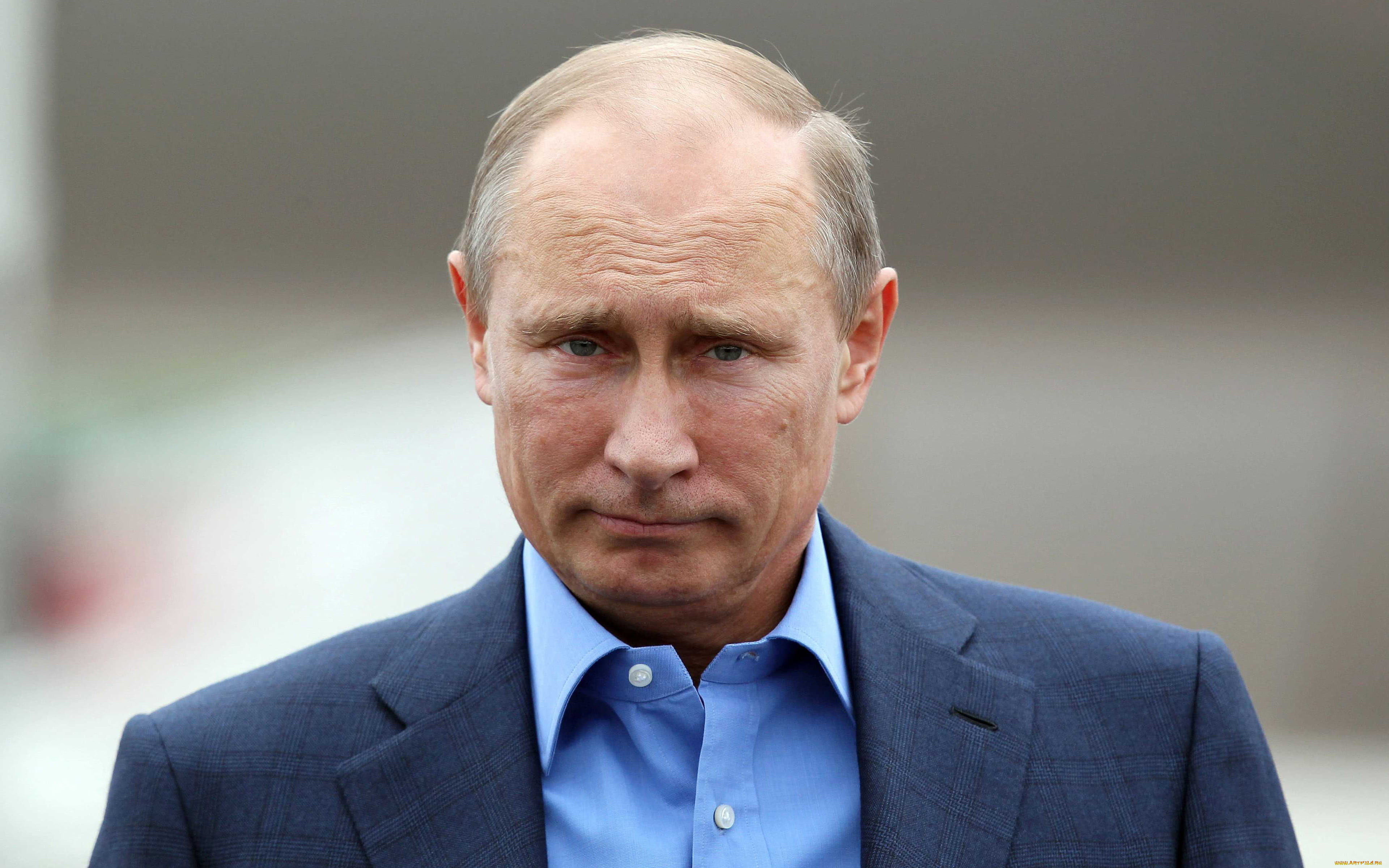 ,  , , , , , , , , , , , , vladimir putin,  , , ,  , the president